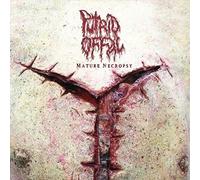 8460354 Audio Cd Putrid Offal - Mature Necropsy
