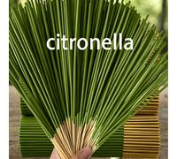 85 pezzi Bastoncini di incenso all'olio essenziale di citronella e lemongrass, durata di combustione di 45 minuti, profumo fresco e naturale estivo, decorazione in legno per aromaterapia, deodorante p