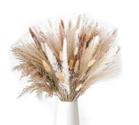 85 pezzi di vasi decorativi in erba della pampa per composizioni di design per la casa