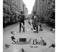 8511070 Audio Cd Peter Hudler / Andreas Teufel - Schrammelbach. Ka Rua