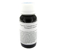 85C ERIGERON CANADENSIS COMP