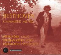 8691410 Audio Cd Ludwig Van Beethoven - Chamber Music