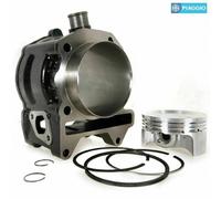 876457 GRUPPO TERMICO ORIGINALE APRILIA SCARABEO 300 LIGHT E3 2009-2010 (APAC, N