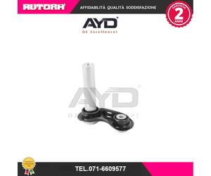 8802250 Asta/Puntone, Sospensione ruote (MARCA-AYD)..