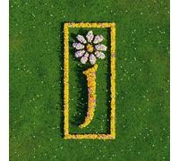 8885869 Audio Cd James - Nothing But Love. The Definitive Best Of