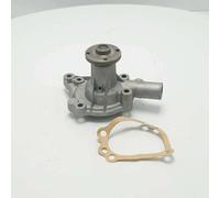 88G619 pompa acqua Austin Allegro Maestro Metro 1.0 1.3 epoca PA114/A