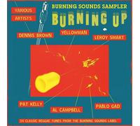 8926321 Audio Cd Burning Up (Burning Sounds Sampler) / Various