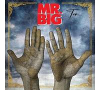8947685 Audio Cd Mr Big - Ten