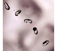 8961135 Audio Cd Peter Gabriel - Up