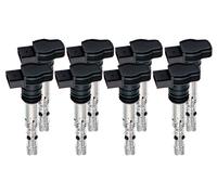 8x ESEN SKV Bobine di Accensione per Audi A8 4D2 4D8 4.2 Quattro S8 A6 Avant 4B