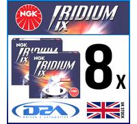 8x NGK DCPR7EIX 6046 IRIDIUM IX CANDELE EVINRUDE 4-Stroke 00>01