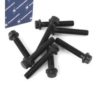 Bullone Biella KOLBENSCHMIDT per Audi A1