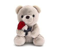9.8'' Teddy Bear with Rose, Soft Plush Bear Doll Stuffed Animal Toys Valentines Day Decor Gifts for Her / Girlfriend Lover Mom Kids (gray)