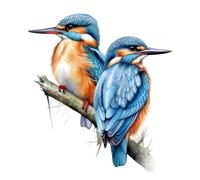 9 adesivi auto 18 x 18 cm sticker uccelli di ghiaccio sticker