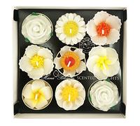 9 assortiti grande fiore bianco profumati