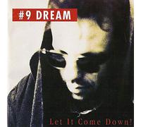 #9 Dream - Let it come down (1992)