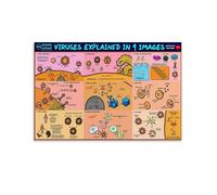 9 immagini per spiegare il virus poster arte vintage, tela da parete, decorazione estetica, soggiorno, camera dei bambini, dormitorio, bar, bagno, adatto per camera da letto, palestra, cool classic