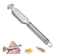 9-Inch Stainless Steel Multifunctional Fish Scaler with Ginger, 2-in-1 Stainless Steel Fish Scaler, For Easy Descaling, Grating & Cleaning, Kitchen Tool for Pro Scale Remover (1*A)