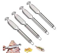 9-Inch Stainless Steel Multifunctional Fish Scaler with Ginger, 2-in-1 Stainless Steel Fish Scaler, For Easy Descaling, Grating & Cleaning, Kitchen Tool for Pro Scale Remover (2*A+2*B)