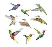 9 Pezzi Adesivi Uccelli Bidirezionali Adesivi Vetro Uccelli Anticollisione Bidirezionali Adesivi Elettrostatici Autoadesivi Adesivi Zanzariere AnticollisioneTutte le Stanze della Casa Vetri Porte