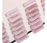 90 linguette bibliche grandi stampate laminate per indice biblico rosa Scritture forniture per diari accessori di studio per Vecchio e Nuovo Testamento