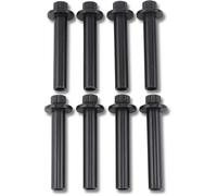 900-1006 BOLT KIT HEAD M8 12POINT FLHTCUTG 1868 ABS TRI GLIDE ULTRA 114 2025