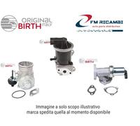 BIRTH 90059 Valvola EGR