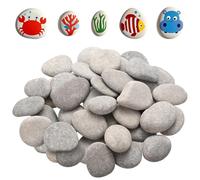 900g Sassi da Dipingere, Ciottoli per Dipingere, 3-5 cm Pietre Ciottoli Piatti per Dipingeres, Pietre Decorative Naturali per Progetti di Pittura Fai Da Te Artistiche e Artigianali Decorazioni