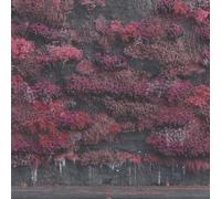 9034140 Audio Cd Sleep Token - Even In Arcadia