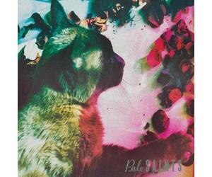 9046352 Audio Cd Pale Saints - The Comforts Of Madness (30Th Anniversary) (2 Cd)