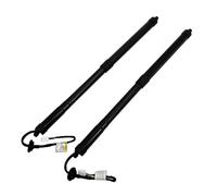90561-4BA3A 90561-4BA4A Supporto Sollevamento Portellone Posteriore Elettrico Per Nissan Per Rogue S Sport Utility 4 Porte 2.5L 2014-2019 Molle A Gas Cofano Posteriore(1 paio)