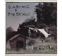 9067689 Audio Cd Edie Brickell & New Bohemians - Ghost Of A Dog