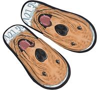 908 Pantofole Da Uomo Donna Amante Dei Cani Alla Pecorina Golden Retriever Ciabatte Invernali Comoda Ciabatte Da Casa Calde Scarpe Da Casa Per Interno Viaggiare Hotel L