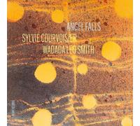 9091301 Audio Cd Sylvie Courvoisier - Angel Falls