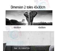 90x30cm 2 Dipinti Stampa Elefante - Quadro Decorazione da Muro EL10BWT2A