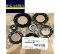 9117 - SERIE PARAOLI MOTORE MALAGUTI 250 PASSWORD - MBK SKYLINER