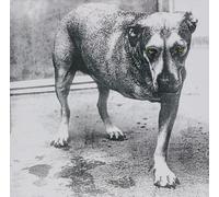9159808 Audio Cd Alice In Chains - Alice In Chains