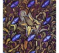 9159817 Audio Cd Bad Religion - Against The Grain