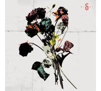 9205676 Audio Cd Shinedown - Ei8ht