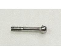 921531837 VITE BRUGOLA M10X60 ORIGINALE KAWASAKI