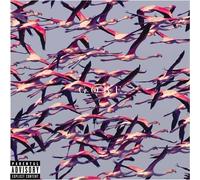9240884 Audio Cd Deftones - Gore