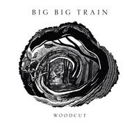 9265573 Audio Cd Big Big Train - Woodcut