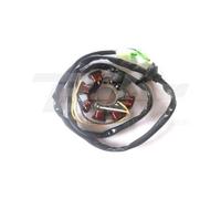 TECNIUM Statore: Yamaha Aerox (97-02) 3vp814030 per Moto Ricambi Ciclomotore