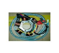 Statore Tecnium-Piaggio Hexagon LX4 Liberty Vespa ET4 294111 Per Moto Ricambi
