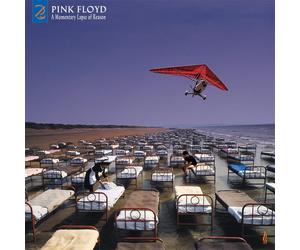 9324572 Audio Cd Pink Floyd - Momentary Lapse Of Reason