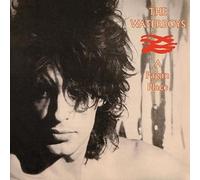 9335998 Audio Cd Waterboys (The) - Pagan Place