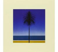 9345255 Audio Cd Metronomy - The English Riviera