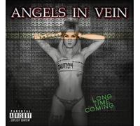 9374348 Audio Cd Angels In Vein - Long Time Coming