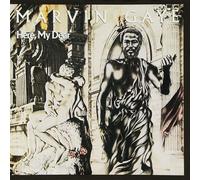 9377390 Audio Cd Marvin Gaye - Here My Dear