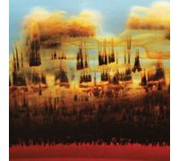 9390889 Audio Cd Bonobo - Distance In Static